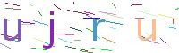 Verify Code
