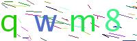 Verify Code