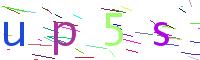 Verify Code