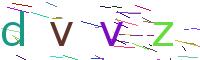 Verify Code