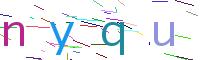 Verify Code