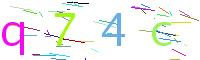 Verify Code