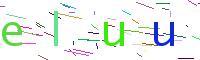 Verify Code