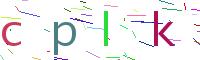 Verify Code