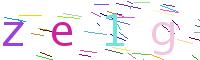 Verify Code