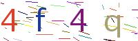 Verify Code