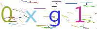 Verify Code