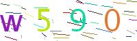 Verify Code
