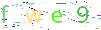 Verify Code