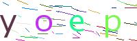 Verify Code