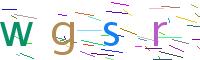 Verify Code