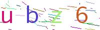 Verify Code